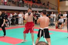 otwarte_mistrzostwa_polski_kong_sao_38_20130508_1532203887