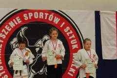 otwarte_mistrzostwa_polski_kong_sao_42_20130508_1507231714