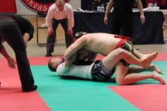 otwarte_mistrzostwa_polski_kong_sao_43_20130508_1345439788