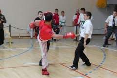 otwarte_mistrzostwa_wiata_w_sztukach_walki_kong_sao_12_20130508_1022192236