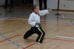 otwarte_mistrzostwa_wiata_w_sztukach_walki_kong_sao_41_20130508_1427932996