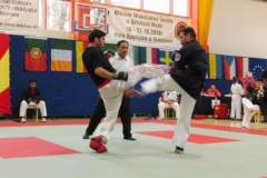 otwarte_mistrzostwa_wiata_w_sztukach_walki_kong_sao_45_20130508_1457550019