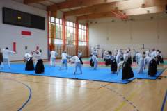 seminarium_aikido_20191004_1173939464