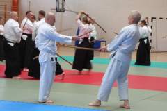 seminarium_aikido_20191004_1727466893