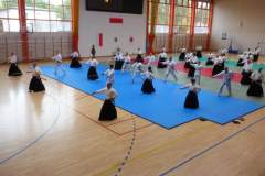 seminarium_aikido_20191004_1758297247