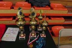 siatkarski_turniej_charytatywny_32_20130508_1745921369