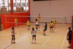 siatkowka_20140609_1435522821