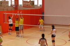siatkowka_20140609_1887910605