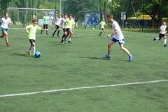 pika_nona_20190713_1252334075