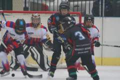 Turniej mini-hokej na lodzie 2012