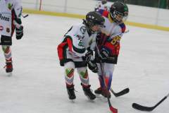 turniej_mini-hokej_na_lodzie_2012_43_20130509_2036045335