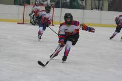 turniej_mini-hokej_na_lodzie_2012_50_20130509_1673665608