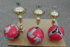 turniej_piki_nonej_dzikich_druyn_13_20130508_1724610390