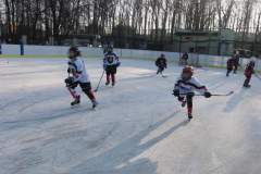 hokej_20151220_1366862924