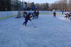 hokej_20151220_1436530137