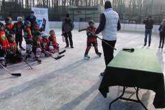 hokej_20151220_1476219691