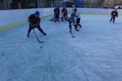 hokej_20151220_1552823999
