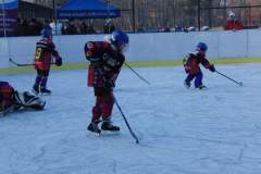 hokej_20151220_1583105618