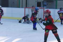 hokej_20151220_1737585683