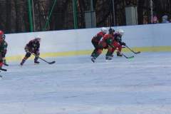hokej_20151220_1823414681
