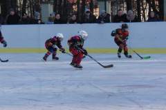 hokej_20151220_1878087292