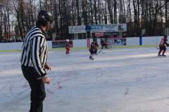 hokej_20151220_1879224809