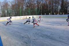 hokej_20151220_1910400025