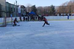 hokej_20151220_2013826868