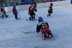 hokej_20151220_2098335577