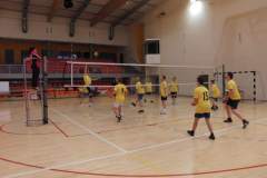 siatkowka_20140324_1285551483