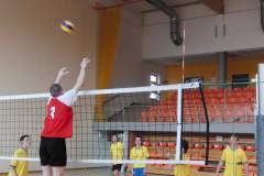siatkowka_20140324_1762204688