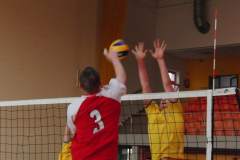 siatkowka_20140324_2028724139