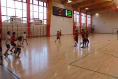 pika_nona_20140113_1814779779