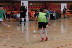 pika_nona_20140113_1829204811