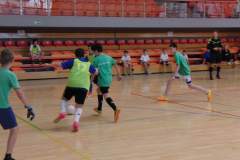 pika_nona_20140113_2088210234