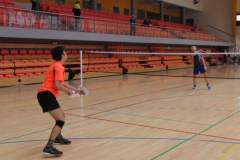 badminton_20131125_1009152442