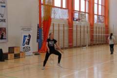 badminton_20131125_1162504403