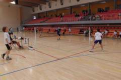 badminton_20131125_1269976543