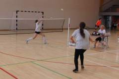 badminton_20131125_1432383097