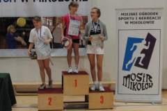 badminton_20131125_1537159760