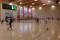 badminton_20131125_1700943636