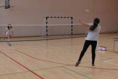 badminton_20131125_1742416877