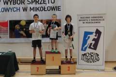 badminton_20131125_1946675919