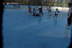 hokej_20161219_1103194538