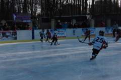 hokej_20161219_1331326332