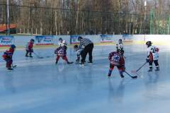 hokej_20161219_1471691370