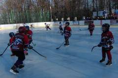 hokej_20161219_1529384521