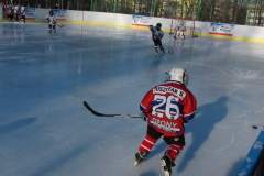 hokej_20161219_2079811154