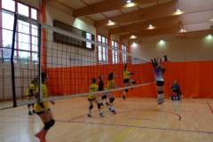 siatkowka_20170918_1730312618