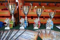 siatkowka_20170918_2076216569